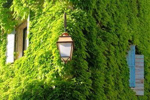 Houten bloembak
