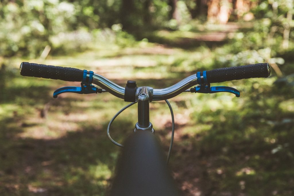 elektrische fiets dames